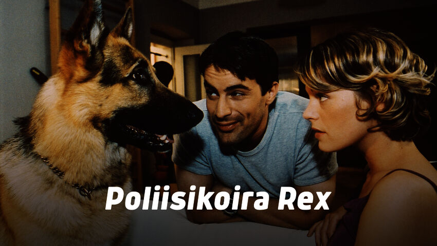 Poliisikoira Rex (16)