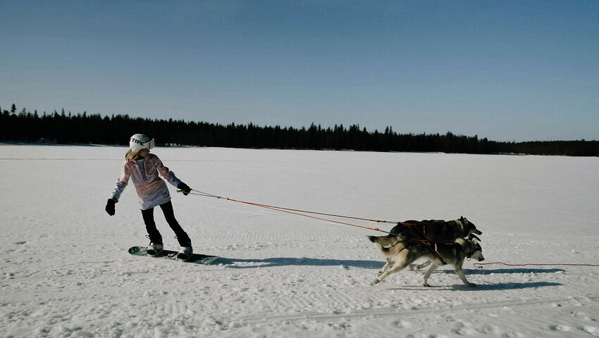 Eränkävijät