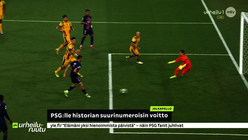 Urheiluruutu