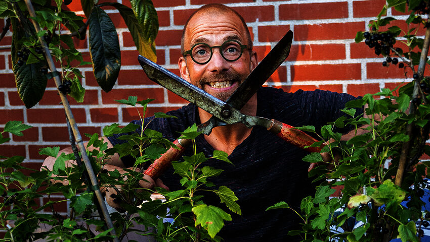 Søren Vesterin puutarha
