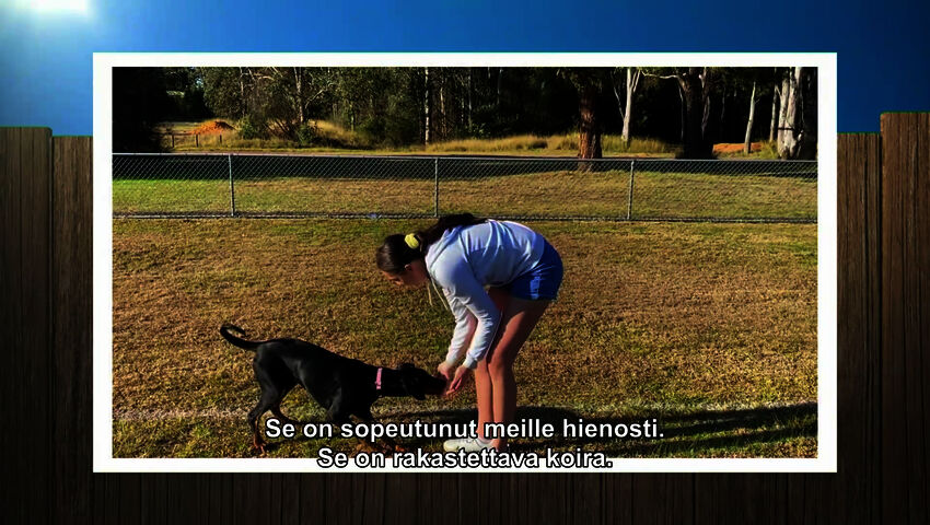 Koti koiralle Australia