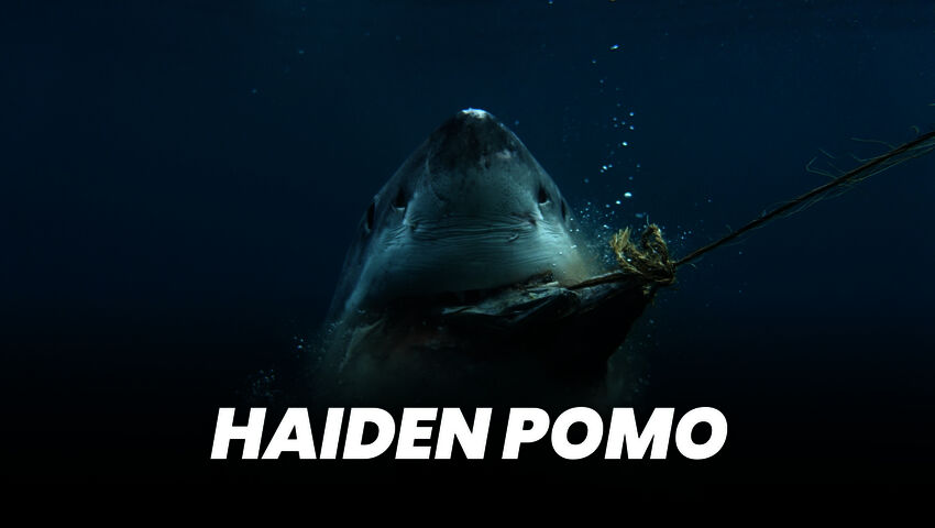 Haiden pomo (7)