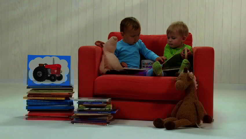 Minimuksut (S)