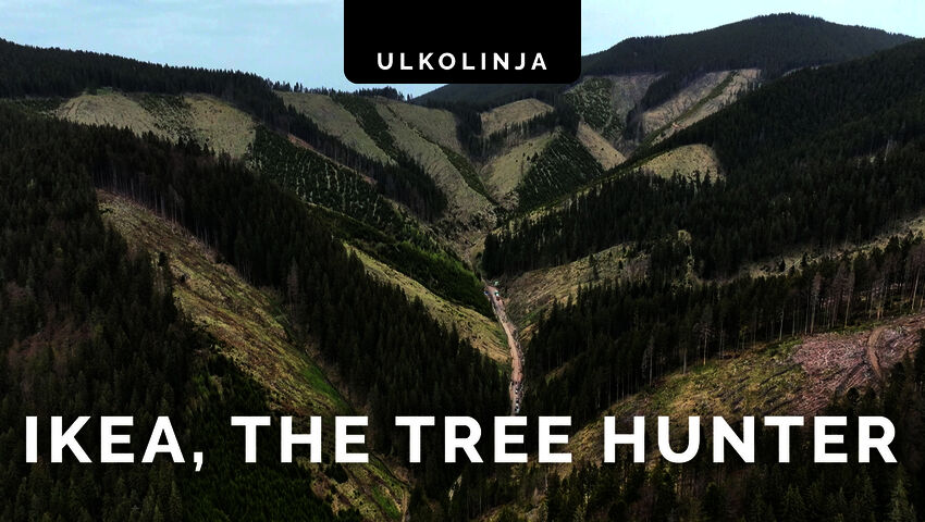 Totuus Ikeasta