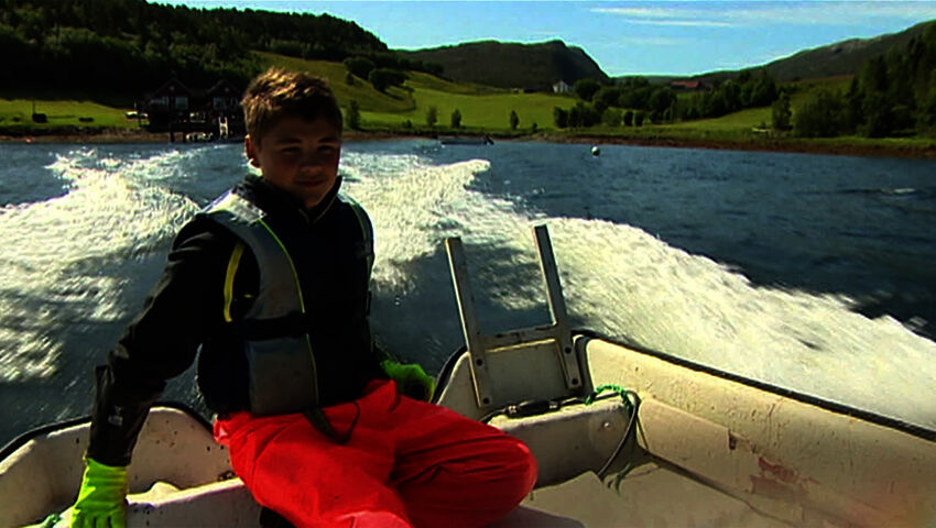 Norjaa ristiin rastiin