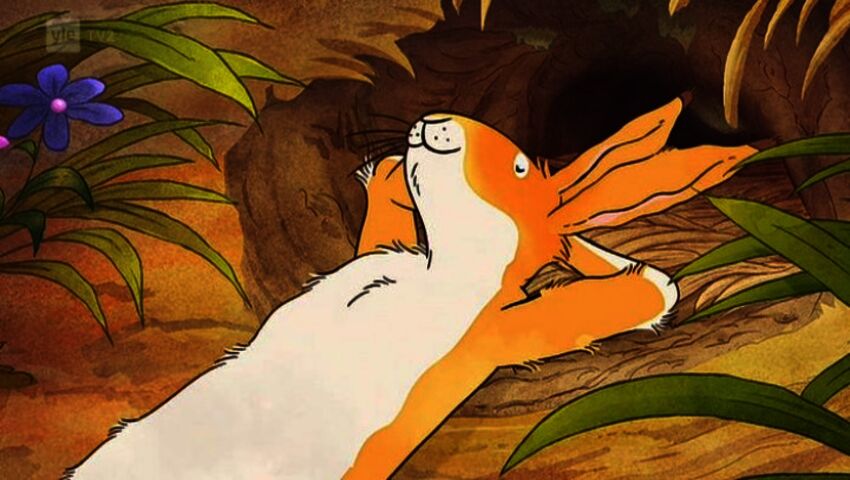 Arvaa kuinka paljon sinua rakastan (S)