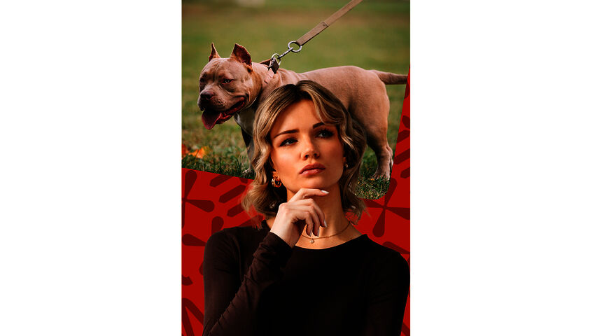 Borde Finland förbjuda vissa hundraser?