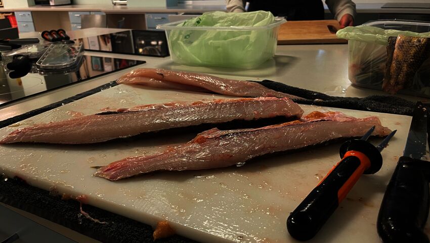 Hauki on kala jota harva syö sen ruotoisuuden takia - näin saat sen perattua