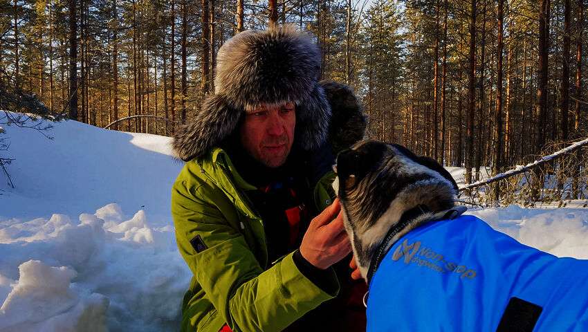 Peltsin toinen luonto