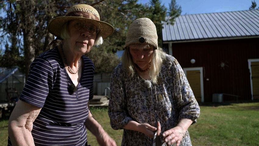 He jotka päättivät jäädä