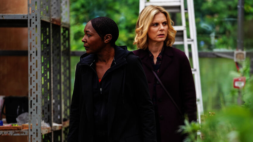 Hiljainen todistaja (16)