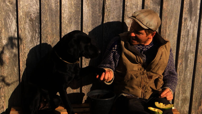 Tanskalainen maajussi