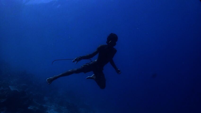 Arman ja viimeinen ristiretki (7)