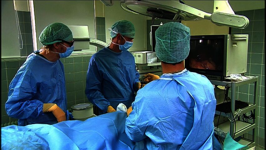 Elämäni eläimet: Eläinsairaalassa 