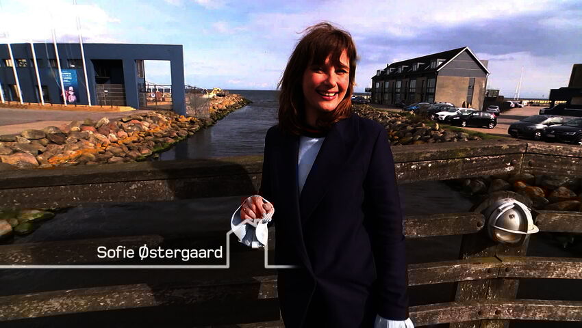 Kauppakaupunkien aarteita