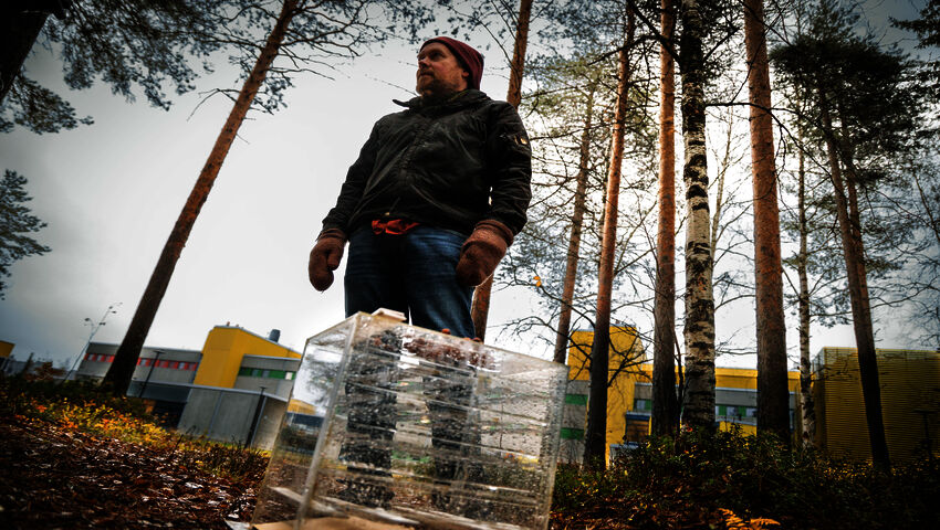 Älykkyystesti osoitti: orava häiriintyy ihmisten läsnäolosta