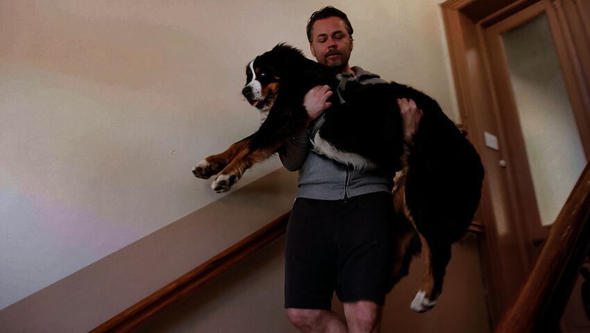 Koiraperheet käytöskoulussa