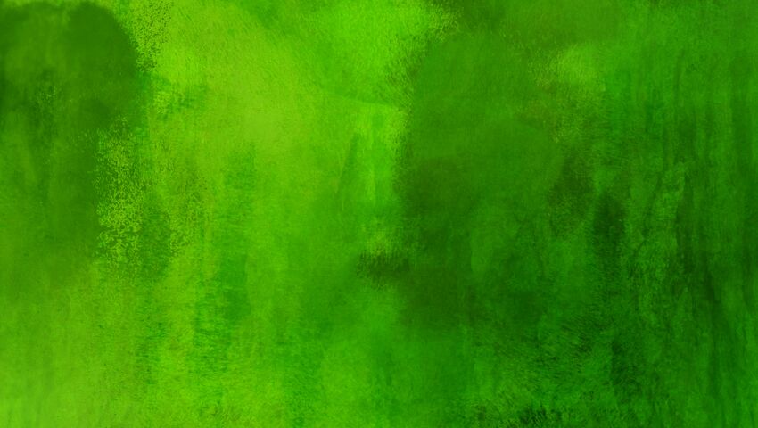 Yle Nyheter TV-nytt 19.30