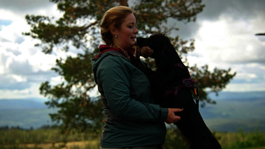 Koiraperheet käytöskoulussa