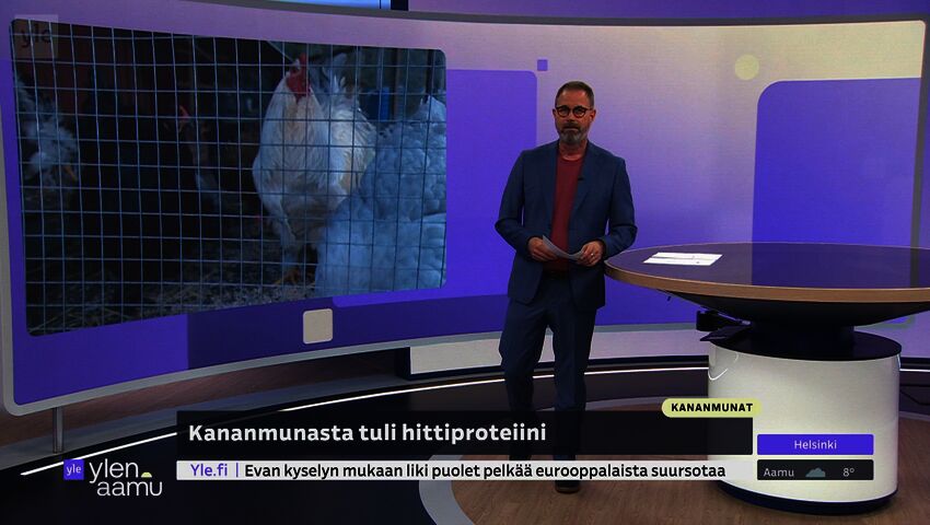 Kananmunien suosio kasvaa