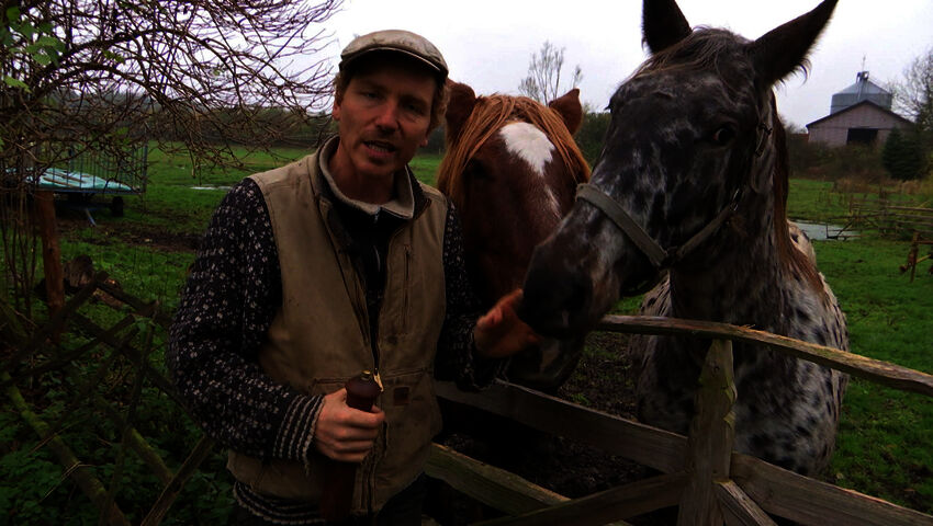 Tanskalainen maajussi