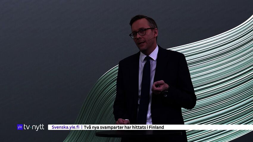 Yle Nyheter TV-nytt 19.30