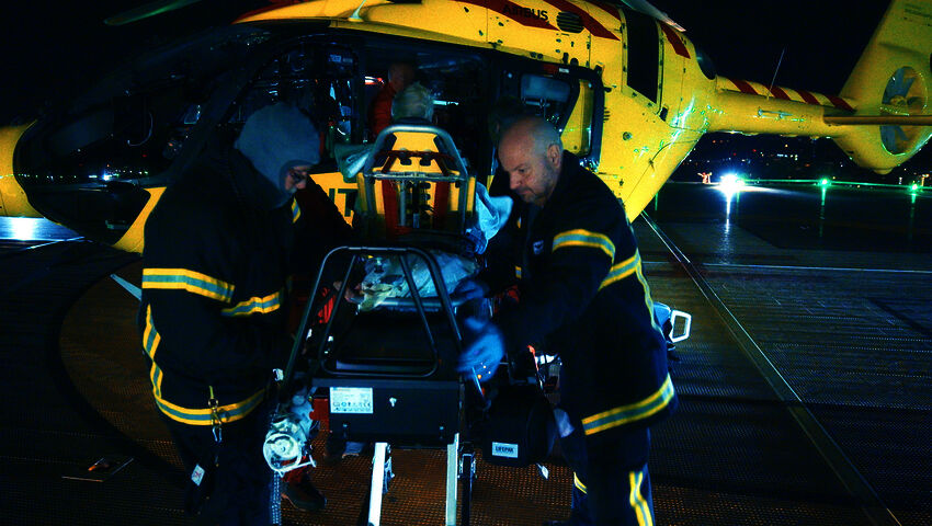 Hyvissä käsissä (12)