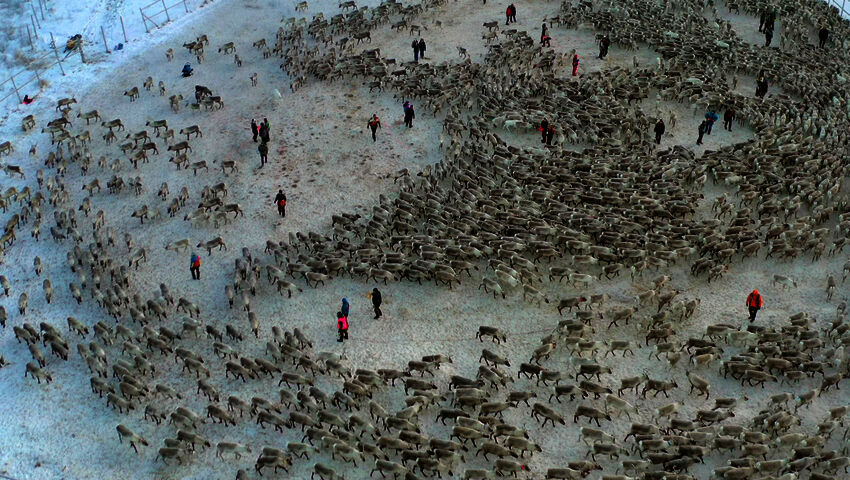 Poroerotus Suorvassa