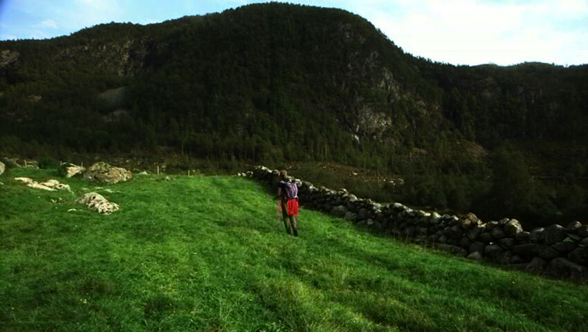 Norjaa ristiin rastiin