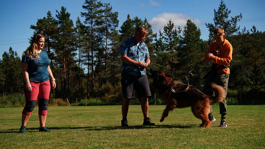 Koiraperheet käytöskoulussa