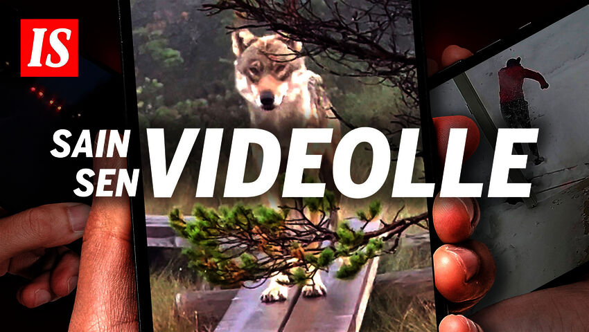 IS esittää: Sain sen videolle (S)