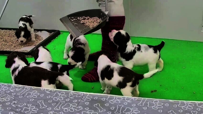 Murulan suursiivous uutta siltaa varten oli helpommin sanottu kuin tehty