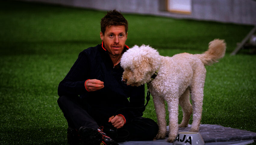 Koiraperheet käytöskoulussa