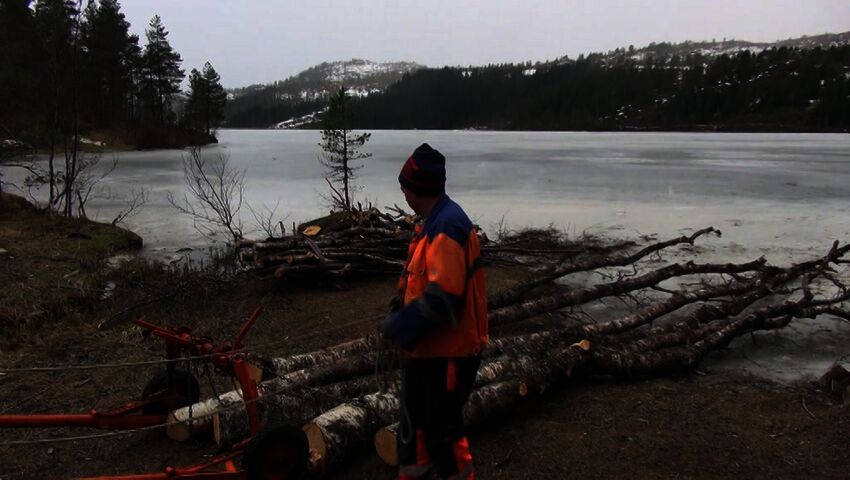 Norjaa ristiin rastiin