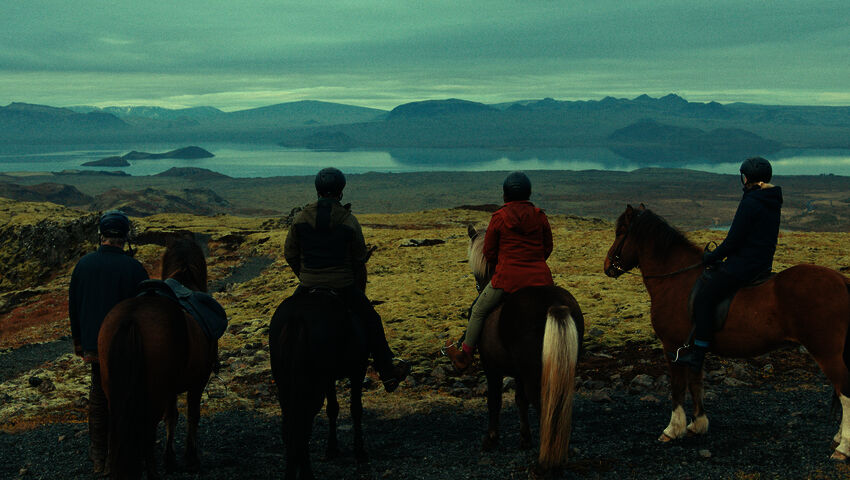 Kaikki rakastavat hevosia (7)