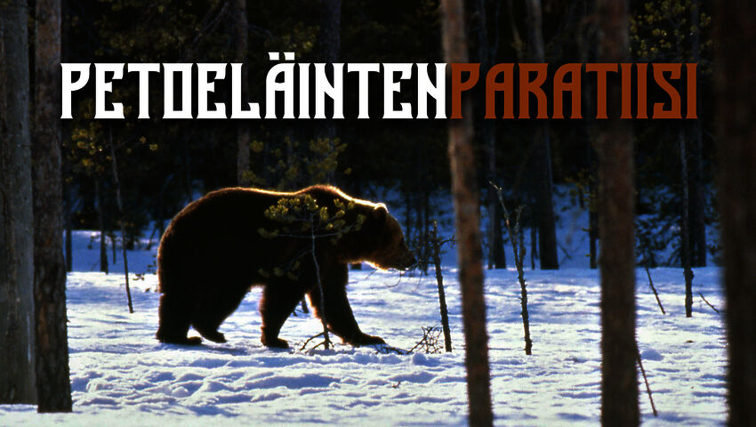 Petoeläinten paratiisi