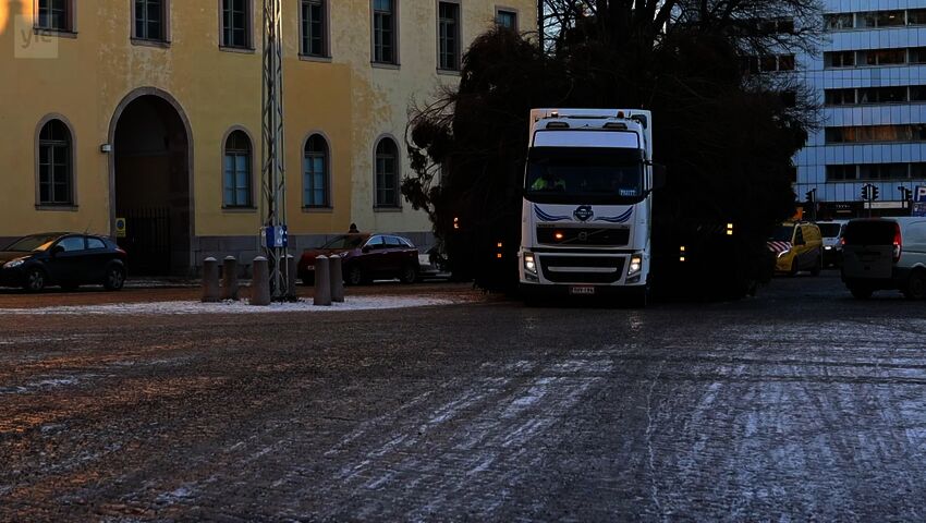 Nationens främsta gran samlade mycket publik då den anlände till Åbo
