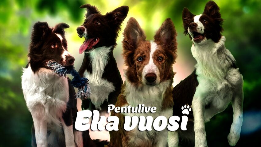 Traileri: Pentulive: Eka vuosi
