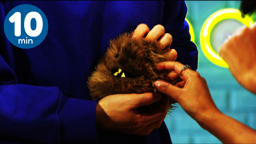 BUU-klubben (10 min)