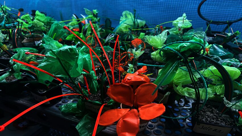 Yleisöryntäys Rauman jättitaideteokseen yllätti – pressukasvit ja valtava vesiputous hämmästyttävät