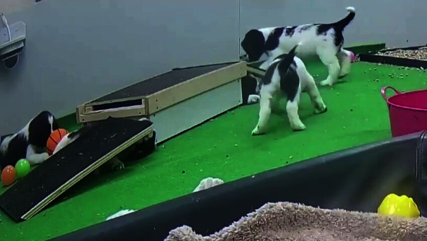 Tuiskulle käy työtapaturma siltaa remontoidessa