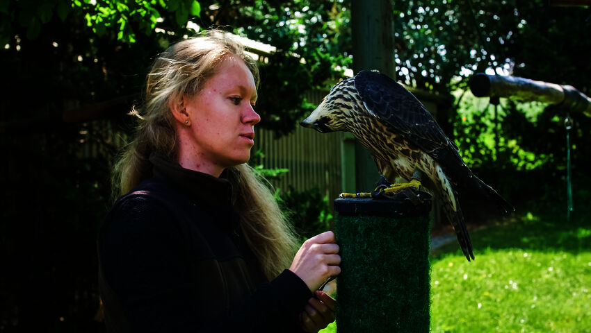 Eränkävijät: Alpeilta Arktiselle