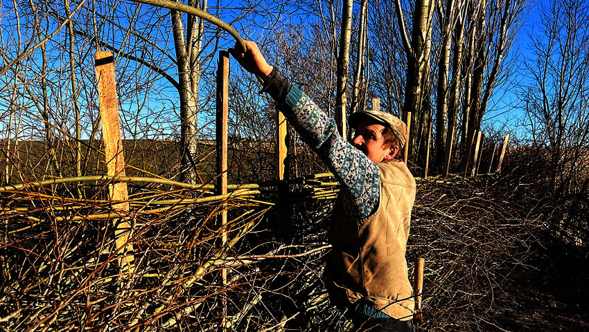 Tanskalainen maajussi