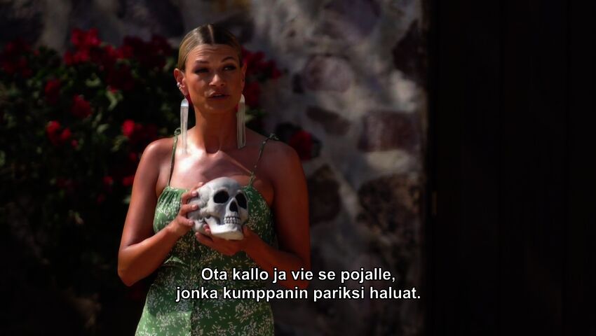 Paratiisihotelli Tanska (7)