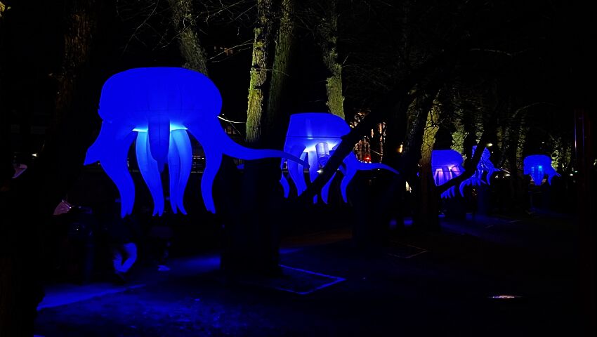 Ljusstigen sträcker sig från Åbo domkyrka till Åbo hamn