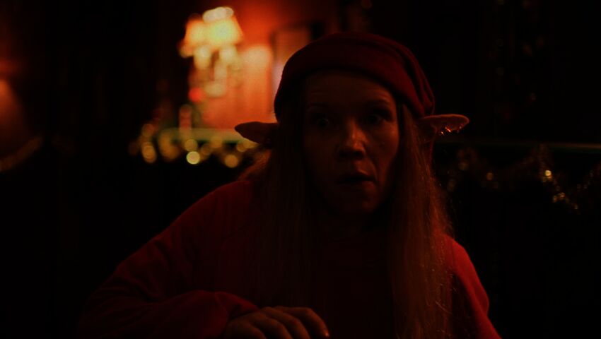 Joulukalenteri: Tonttuakatemia (S)