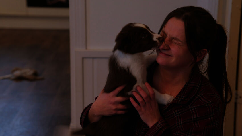 Pentulive: Eka vuosi