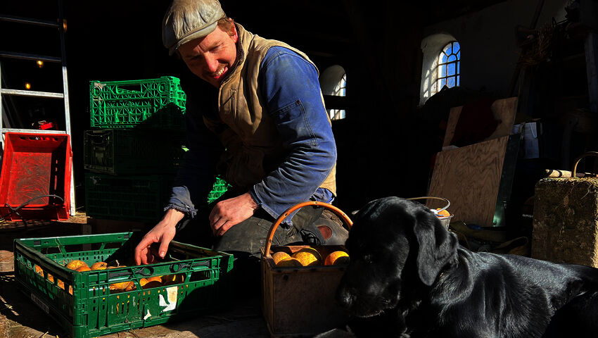 Tanskalainen maajussi