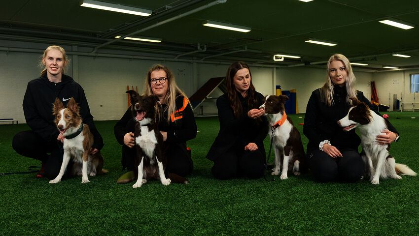 Pentulive: Eka vuosi