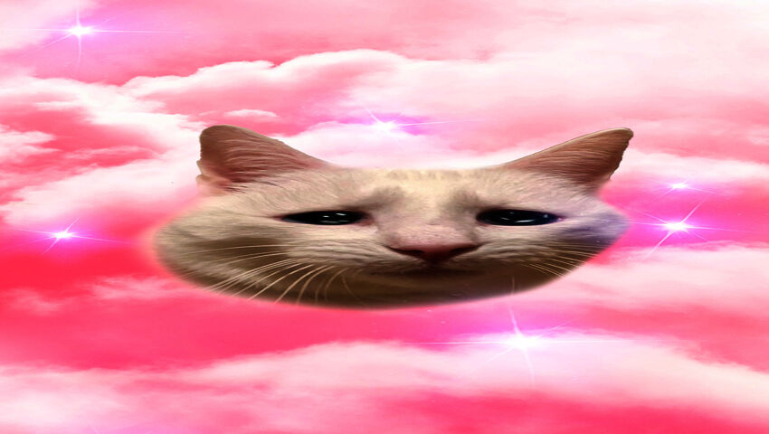 Hauska kissavideo onkin oikeasti dark